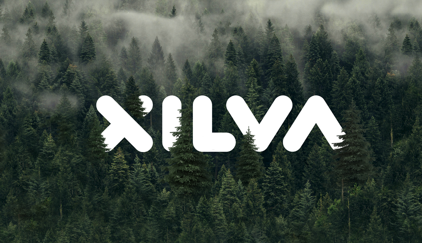01 Case Xilva Logo Wald